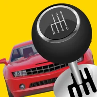 Learn How to Drive Manual Car